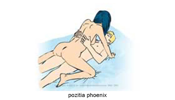 Pozitia Phoenix preferata de nativii zodiei Sagetator